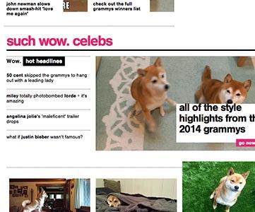 Wow Such Web extension