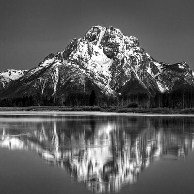 Reflection Open Intelligence